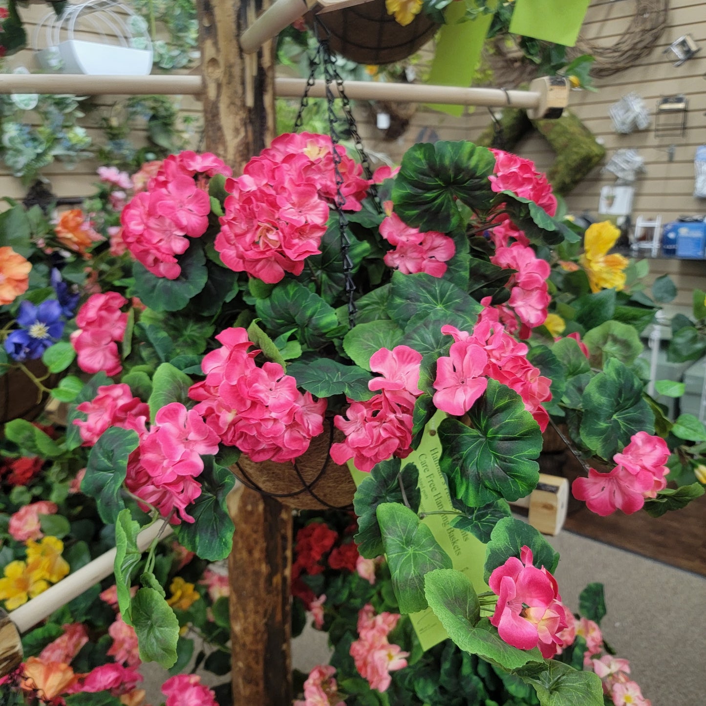 Geranium Hanging Basket preorder for instore pick up