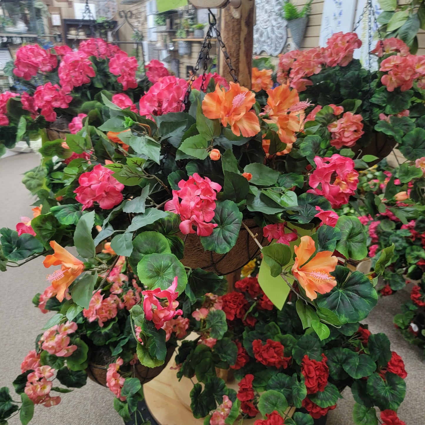 Geranium and Hibiscus hanging basket preorder instore pick up only